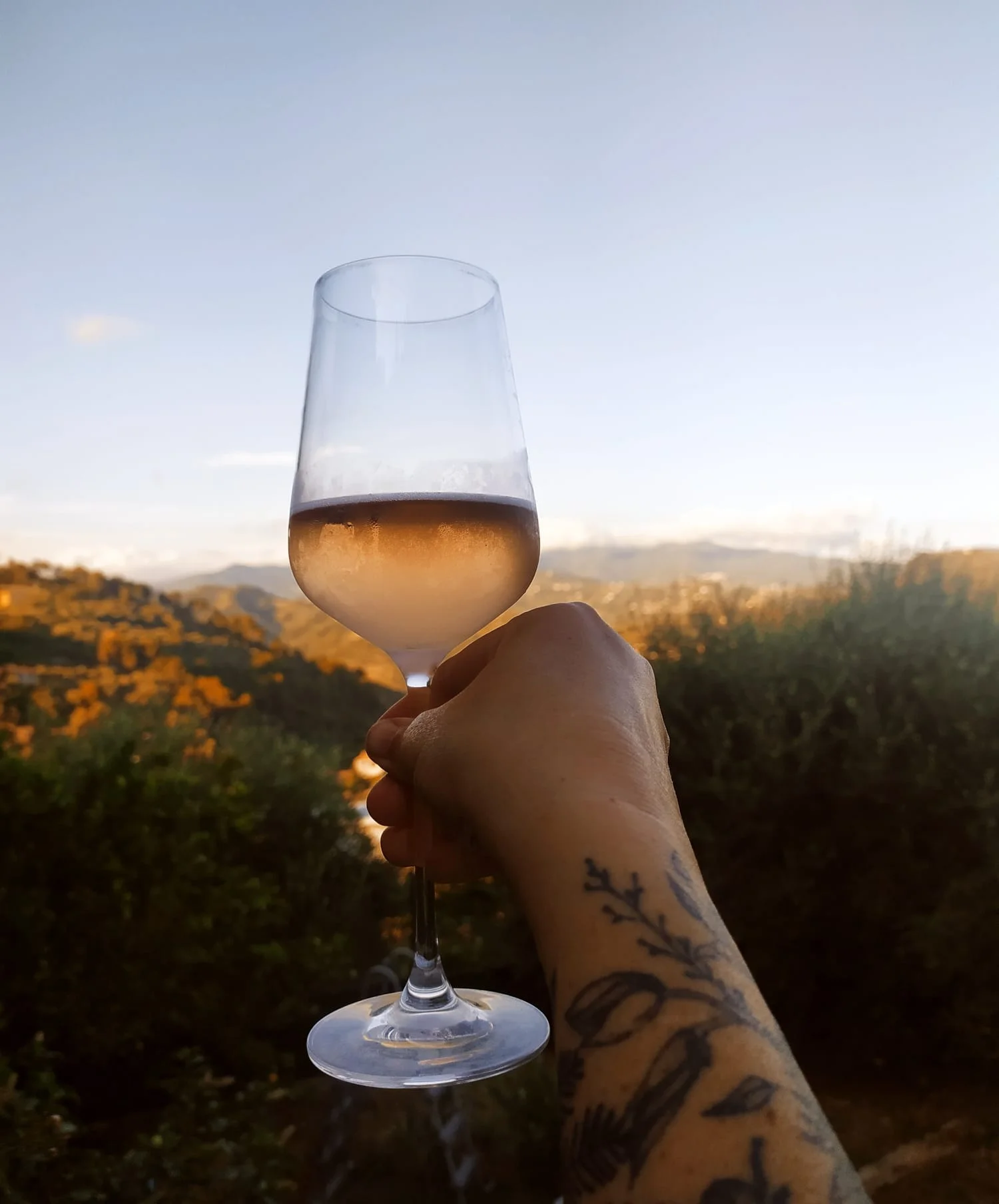Dégustation au coucher de soleil